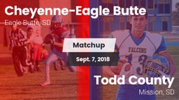 Matchup: Cheyenne-Eagle Butte vs. Todd County  2018