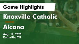 Knoxville Catholic  vs Alcona  Game Highlights - Aug. 14, 2023