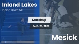 Matchup: Inland Lakes vs. Mesick 2020