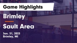 Brimley  vs Sault Area  Game Highlights - Jan. 31, 2023