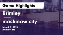 Brimley  vs mackinaw city Game Highlights - March 7, 2023