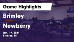 Brimley  vs Newberry  Game Highlights - Jan. 19, 2024
