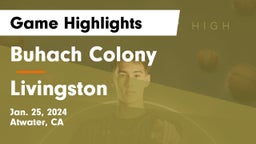 Buhach Colony  vs Livingston  Game Highlights - Jan. 25, 2024