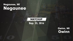 Matchup: Negaunee vs. Gwinn  2016