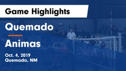 Quemado  vs Animas Game Highlights - Oct. 4, 2019