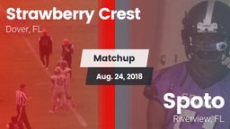 Matchup: Strawberry Crest vs. Spoto  2018