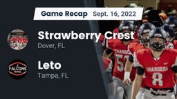 Recap: Strawberry Crest  vs. Leto  2022