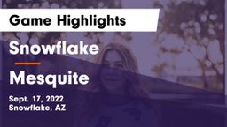 Snowflake  vs Mesquite  Game Highlights - Sept. 17, 2022