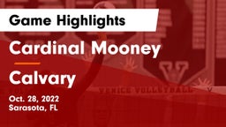 Cardinal Mooney  vs Calvary Game Highlights - Oct. 28, 2022