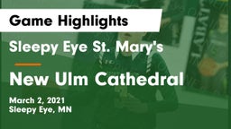 Sleepy Eye St. Mary's  vs New Ulm Cathedral Game Highlights - March 2, 2021