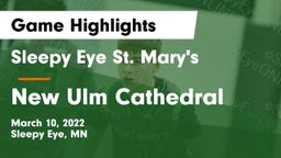 Sleepy Eye St. Mary's  vs New Ulm Cathedral  Game Highlights - March 10, 2022