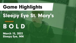 Sleepy Eye St. Mary's  vs B O L D  Game Highlights - March 15, 2022