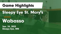Sleepy Eye St. Mary's  vs Wabasso  Game Highlights - Jan. 24, 2023