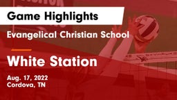 Evangelical Christian School vs White Station  Game Highlights - Aug. 17, 2022