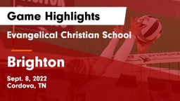 Evangelical Christian School vs Brighton  Game Highlights - Sept. 8, 2022