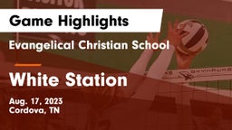 Evangelical Christian School vs White Station  Game Highlights - Aug. 17, 2023