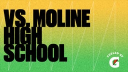 Normal West volleyball highlights vs. Moline High School