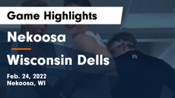 Nekoosa  vs Wisconsin Dells  Game Highlights - Feb. 24, 2022