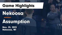 Nekoosa  vs Assumption  Game Highlights - Nov. 25, 2023