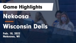 Nekoosa  vs Wisconsin Dells  Game Highlights - Feb. 18, 2022