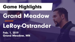 Grand Meadow  vs LeRoy-Ostrander  Game Highlights - Feb. 1, 2019