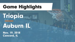 Triopia  vs Auburn IL Game Highlights - Nov. 19, 2018
