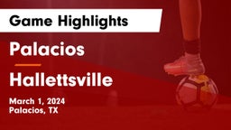 Palacios  vs Hallettsville  Game Highlights - March 1, 2024