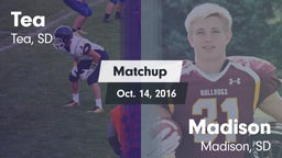 Matchup: Tea vs. Madison  2016