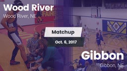 Matchup: Wood River vs. Gibbon  2017