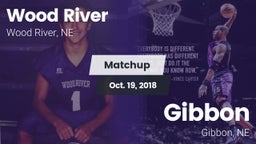 Matchup: Wood River vs. Gibbon  2018