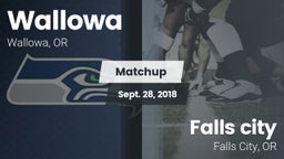 Matchup: Wallowa vs. Falls city   2018
