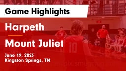 Harpeth  vs Mount Juliet  Game Highlights - June 19, 2023