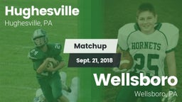 Matchup: Hughesville vs. Wellsboro  2018