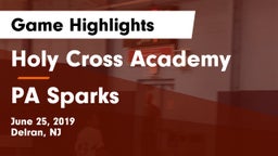 Holy Cross Academy vs PA Sparks Game Highlights - June 25, 2019