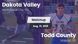 Matchup: Dakota Valley vs. Todd County  2018