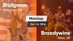 Matchup: Bridgman vs. Brandywine  2016