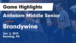 Antietam Middle Senior  vs Brandywine Game Highlights - Jan. 3, 2019