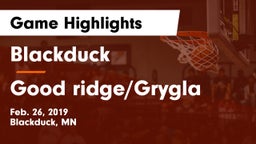 Blackduck  vs Good ridge/Grygla Game Highlights - Feb. 26, 2019