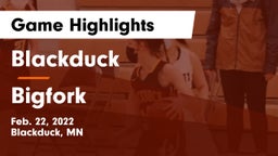 Blackduck  vs Bigfork  Game Highlights - Feb. 22, 2022