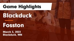 Blackduck  vs Fosston  Game Highlights - March 3, 2022