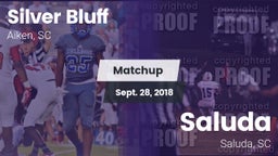 Matchup: Silver Bluff vs. Saluda  2018
