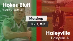 Matchup: Hokes Bluff vs. Haleyville  2016