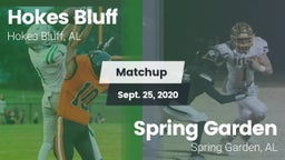 Matchup: Hokes Bluff vs. Spring Garden  2020