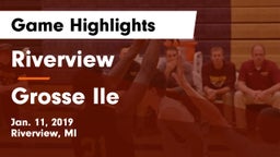 Riverview  vs Grosse Ile  Game Highlights - Jan. 11, 2019