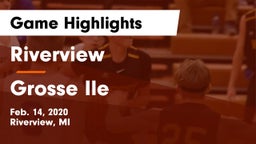 Riverview  vs Grosse Ile Game Highlights - Feb. 14, 2020