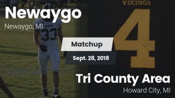 Matchup: Newaygo vs. Tri County Area  2018