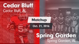 Matchup: Cedar Bluff vs. Spring Garden  2016