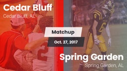 Matchup: Cedar Bluff vs. Spring Garden  2017