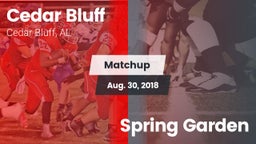 Matchup: Cedar Bluff vs. Spring Garden  2018