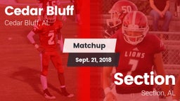Matchup: Cedar Bluff vs. Section  2018